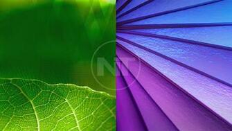 Moto G 3rd Gen Ringtones Wallpaper