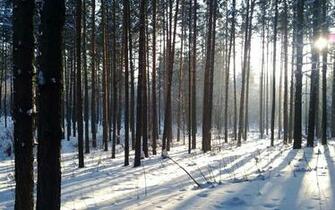 Sunrise In Winter Wallpaper Beautiful