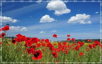 Best Top Desktop Spring Wallpaper HD Background