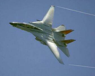 Tomcat Fondo HD