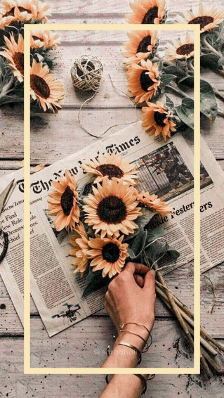 Share Flowers Aesthetic Wallpaper Super Hot