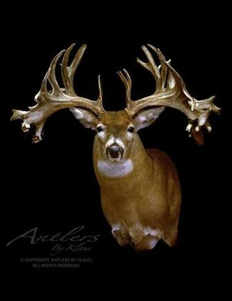 Legendary Whitetails Image Crazy Gallery