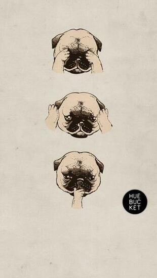 Beige Cute Dog Emoji Pug Wallpaper Image