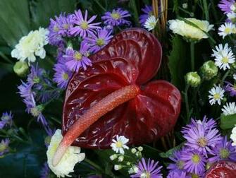 Flower Wallpaper For Women S Day