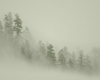 Definition Photo And Wallpaper Dextop Background Desktop