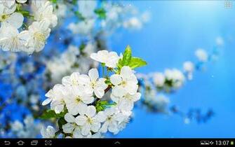 Spring Live Wallpaper Screenshot