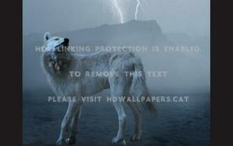 Wolf Lighting Anime Lightning Ing