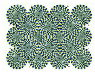 Brain Teasers Pictures Illusions Mind
