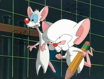Pinky And The Brain Wallpaper Wallpaperholic