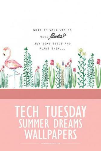 Tech Tuesday Summer Dreams Wallpaper Dream