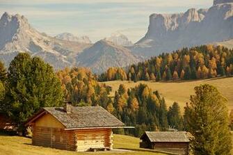Desktop Wallpaper Italy Bolzano Nature Autumn Mountain Forests