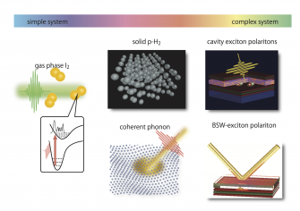 Introduction For Coherent Control Wallpaper