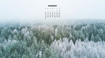 December Wallpaper Bies For Desktop Phones