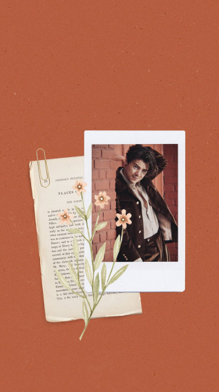 Harry Styles Aesthetic Wallpaper