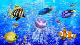 Cute Fish So