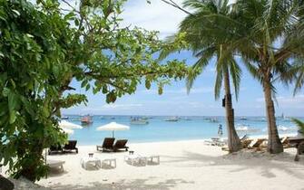 Screensaver Wallpaper Beach Photo Containing Dream