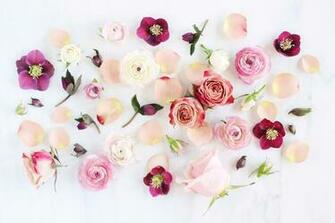 Aesthetic Flowers Desktop Wallpaper Top