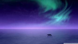 Aurora Borealis Wallpaper Wallpoper