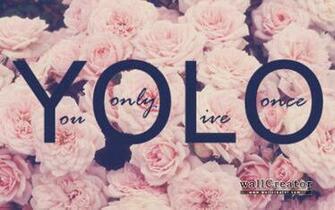 Yolo Wallpaper