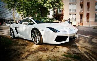 White Lamborghini Gallardo Lp570 On Street Wallpaper