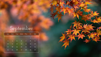 Customizable Autumn Desktop Wallpaper Templates