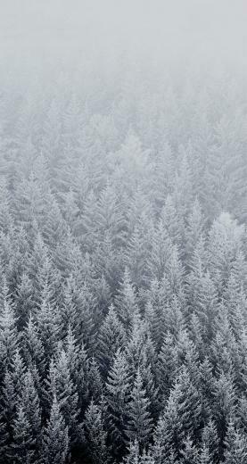 All The Ios Wallpaper For iPhone And iPad