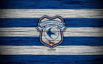 Wallpaper Cardiff City Fc 4k Efl Championship Soccer