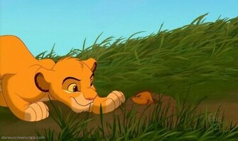 Simba Image Wallpaper Photos