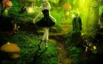 Enchanted Forest