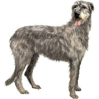 Irish Wolfhound Clipart Graphics Clip Art