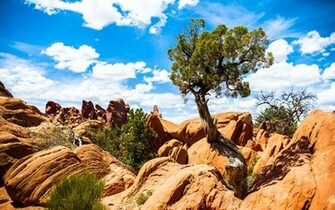 Arches National Park Wallpaper HD