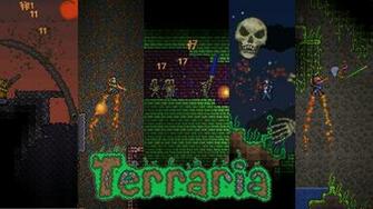 Terraria Details Launchbox Games Database