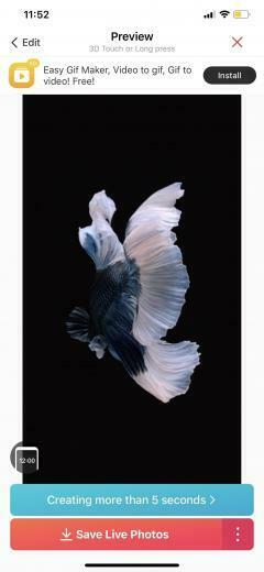 Get Apple S Live Fish Wallpaper Back On Your iPhone Ios