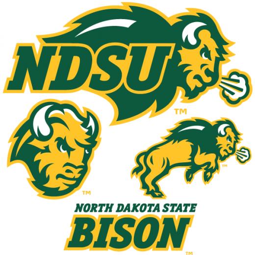 Ndsu Bison Football Love Hot Wallpaper