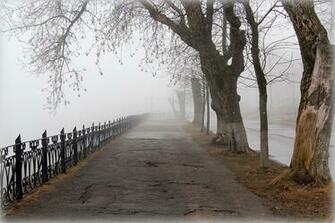 Wallpaper Fog Allee Spring Fence Trees Cities