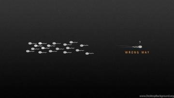 Cool Creative iPhone S Wallpaper Desktop Background