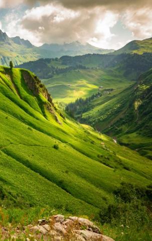 Green Mountain Pictures Image