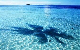 Blue Ocean Wallpaper