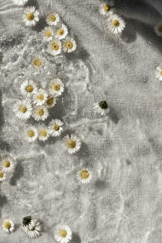 Flowers Aesthetic Pictures Image