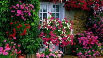Spring Garden Desktop Wallpaper Toptenpack