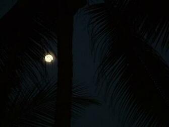 Image To Full Resolution Goa Moon Photo Of Charge