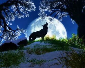Wolf Wallpaper Howls At The Full Moon 3d For