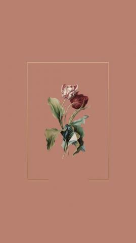Wallpaper Phone iPhone Cute Simple Aesthetic Pretty Rose