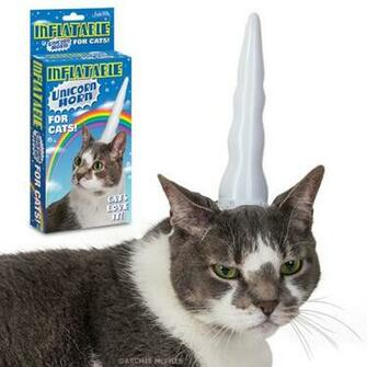 Inflatable Unicorn Horn For Cats Archie Mcphee Co