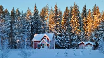 Small Houses In The Snowy Forest Wallpaper Nature