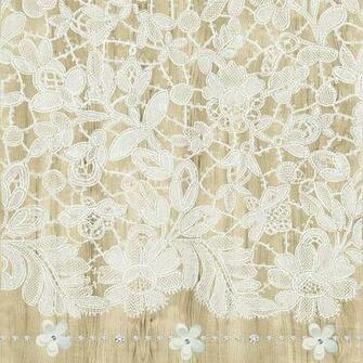 Off White Lace On Ecru Background Image To Inspire