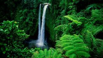 Green Field Photo American Samoa Island Photosjunction