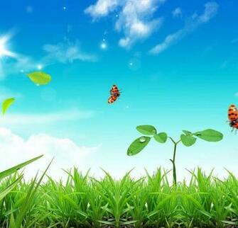 Spring Desktop Wallpaper HD