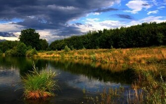 Pond Wallpaper