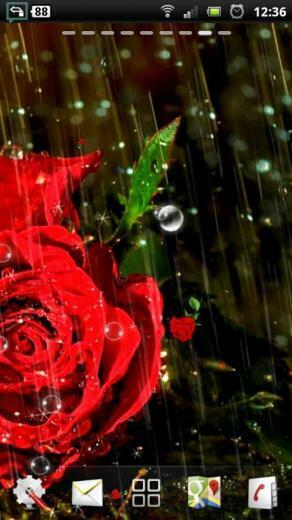 Rose Live Wallpaper Android Apps On Google Play